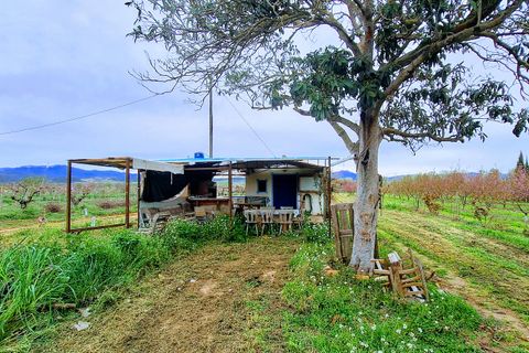 Finca a Ginestar, Tarragona, Ginestar - € 28.000 | Ref: CC839 - foto 2